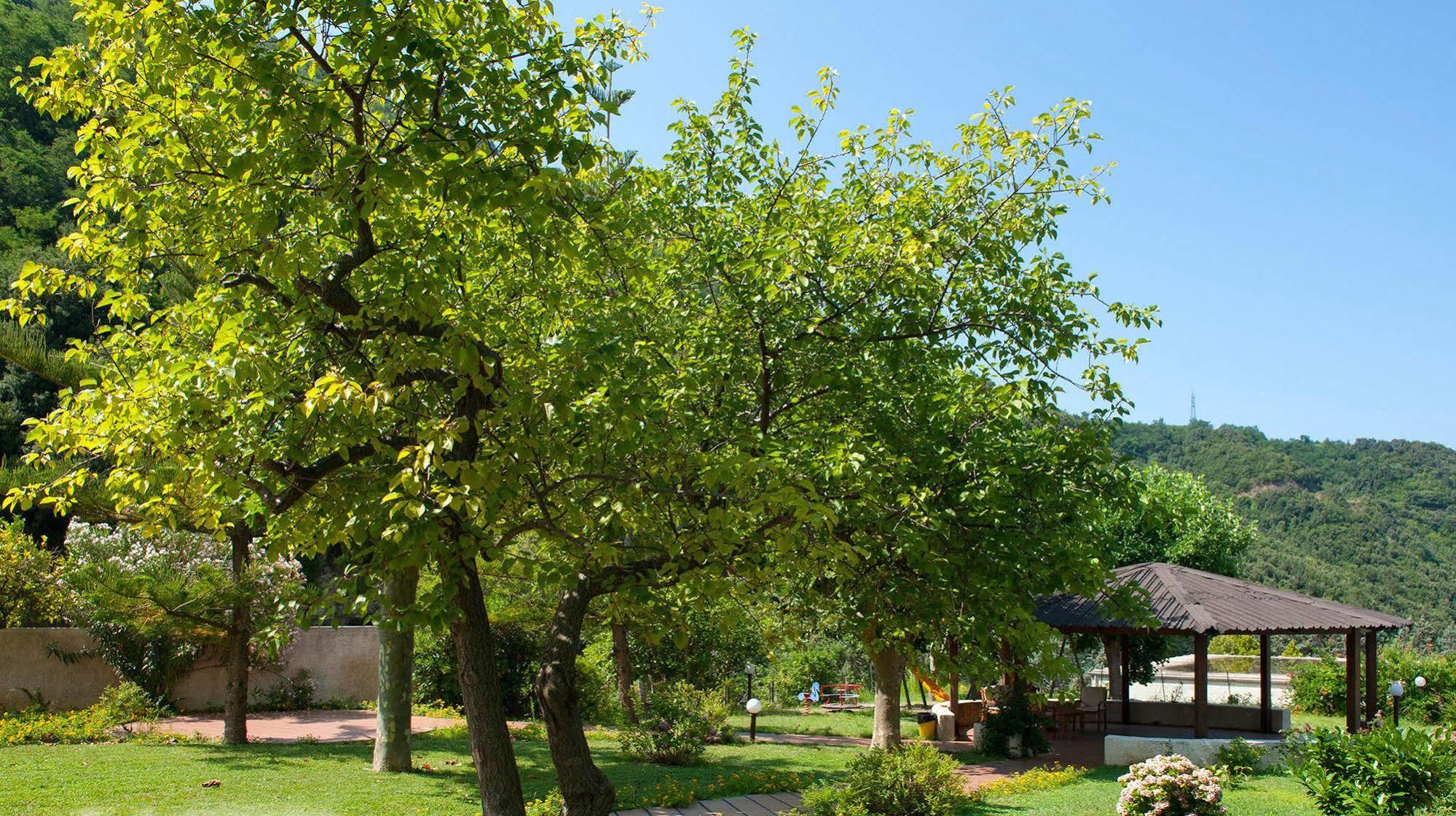 אקואפסה Hotel Parco Delle Rose מראה חיצוני תמונה